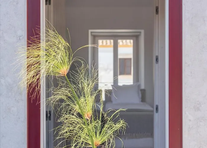 アパート Dona Ana House タヴィラ